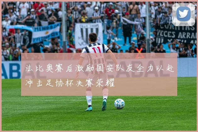 法比奥赛后激励国安队友全力以赴冲击足协杯决赛荣耀